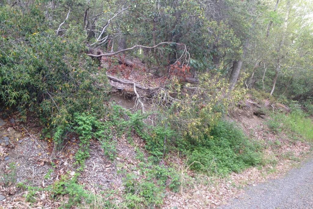 Fox Trot Cabin Meadows of Dan Esterno foto
