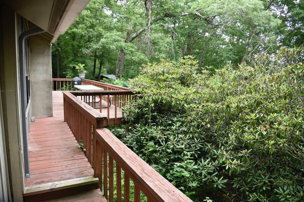 Fox Trot Cabin Meadows of Dan Esterno foto